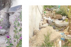 ALCAZABA 1 JUNIO 2016-5