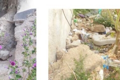 ALCAZABA MAYO 2016-5