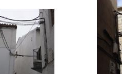ALMENDRO-TRASCAMPANAS(1)