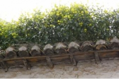 Alero mudejar