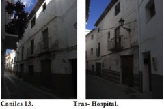 CANILES, TRASHOSPITAL