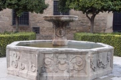 Fuentes-6
