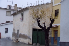 IMAG0031