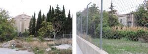 jardin-botanico-24
